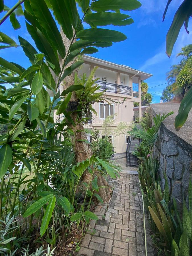 South Hill Villa Anse Royale Luaran gambar